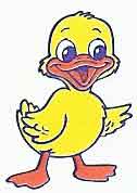 The Duck
