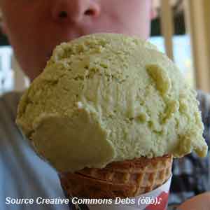No Moss Brands Pistachio Ice Cream Photo