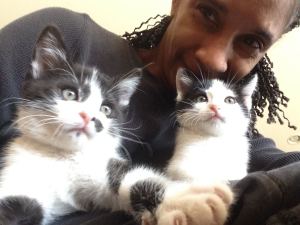 Foster Kitties